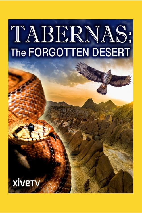 Tabernas: El desierto perdido 2010