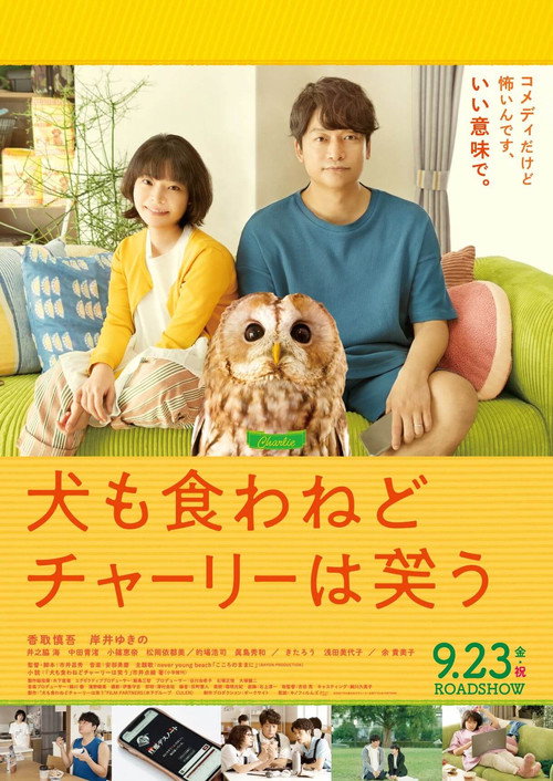 Everything Will Be Owlright! poster