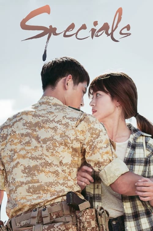 Where to stream Descendants of the Sun Specials