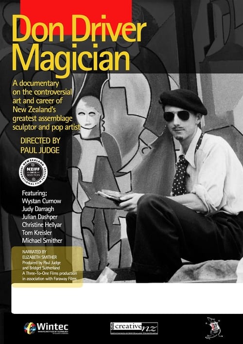 Don Driver: Magician (2013) poster