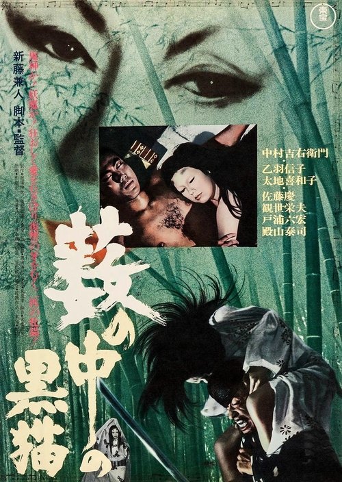 藪の中の黒猫 1968