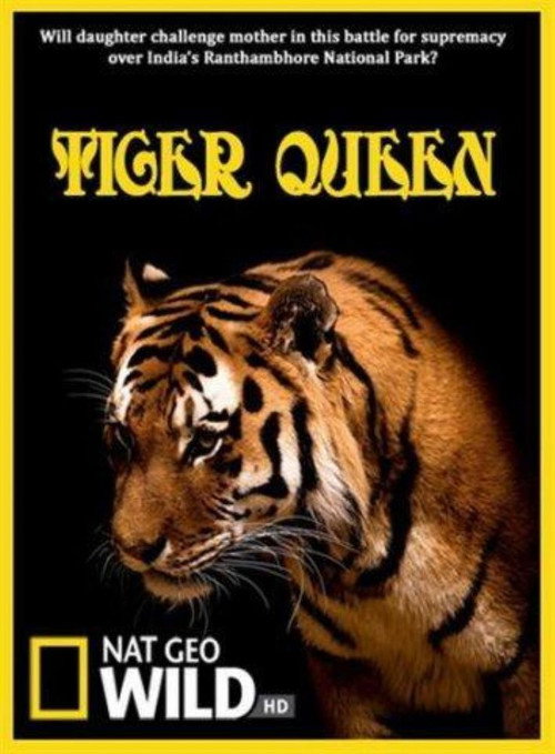 Tiger Queen