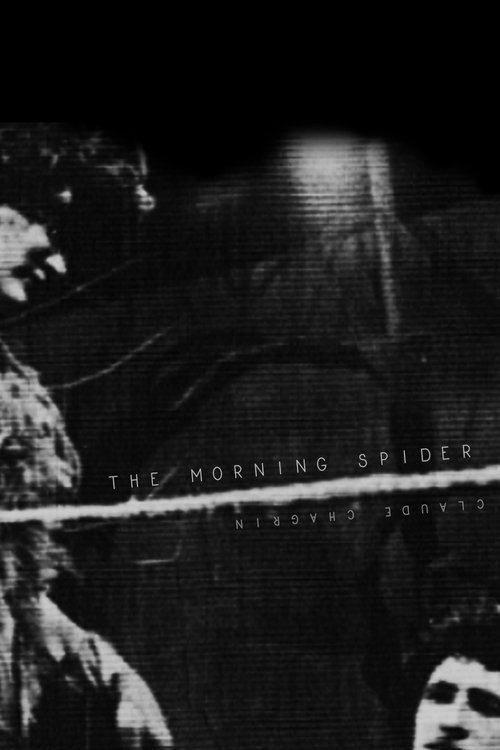 The Morning Spider movie poster player