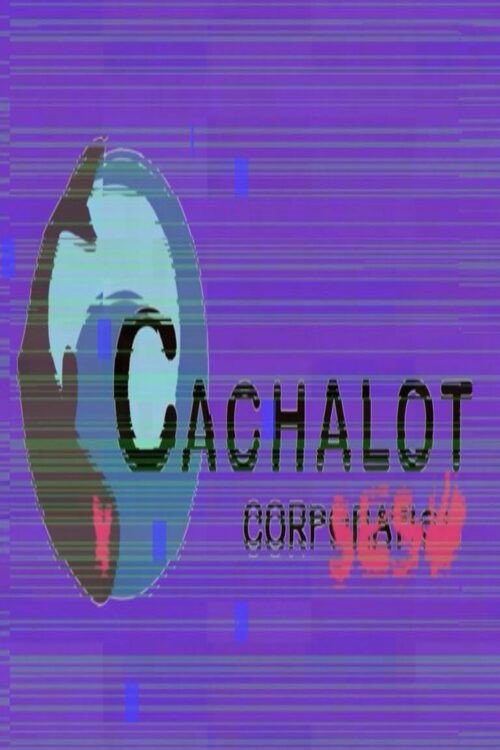 Cachalot Corpses