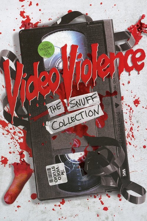 Video Violence poster