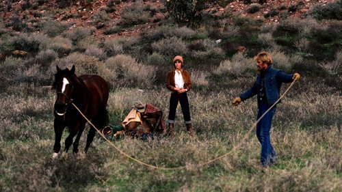 The Electric Horseman — still 20