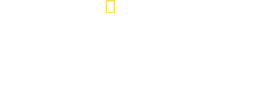 Tubarão-Touro: A Caçada