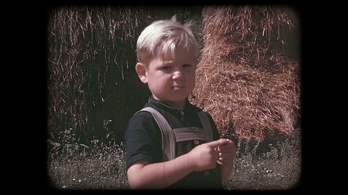 Sau: la memòria submergida