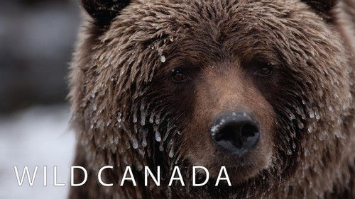 Wild Canada