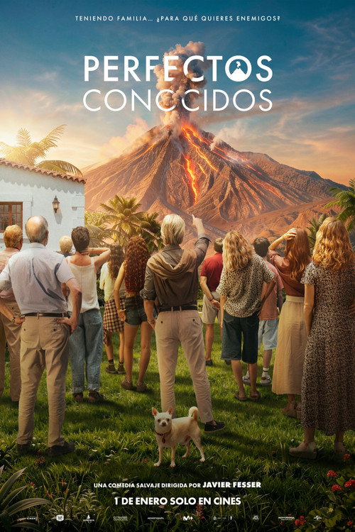 Perfectos conocidos