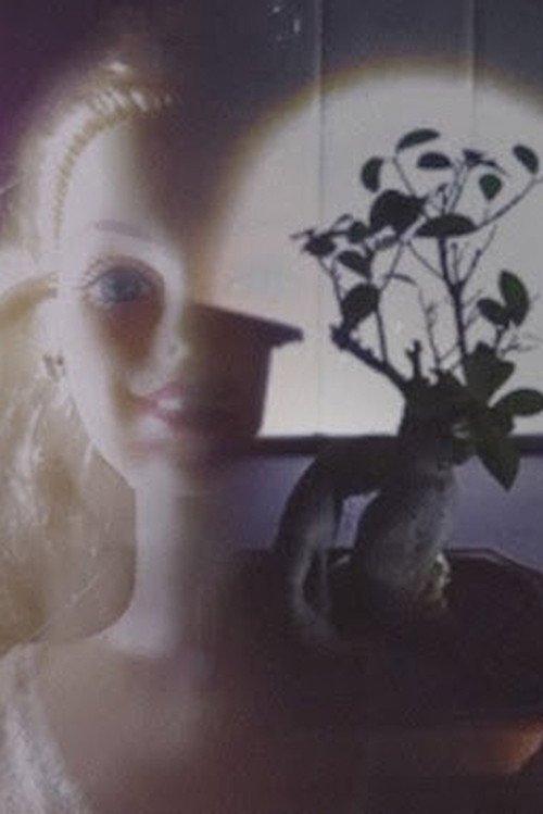 Bonsai Security (Dollyanna's Dream)