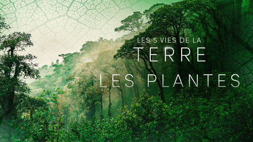 Image Les plantes