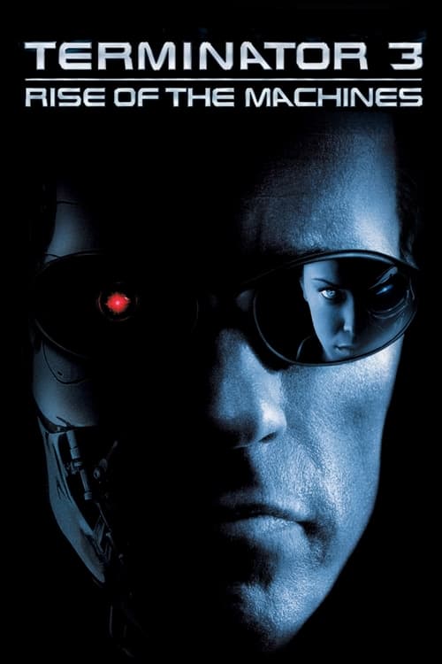 Poster Terminator 3: Rise of the Machines 2003