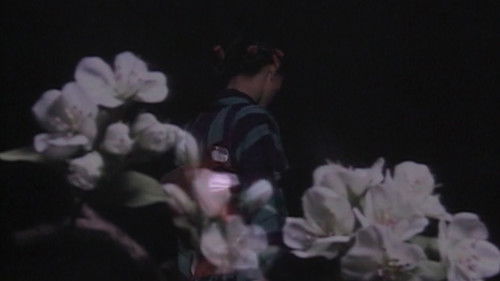 Ophelia's Favorite Books