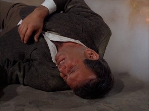 The Fugitive, S04E07 - (1966)