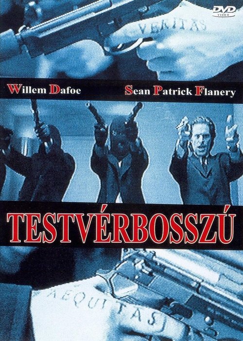 Testvérbosszú movie poster player