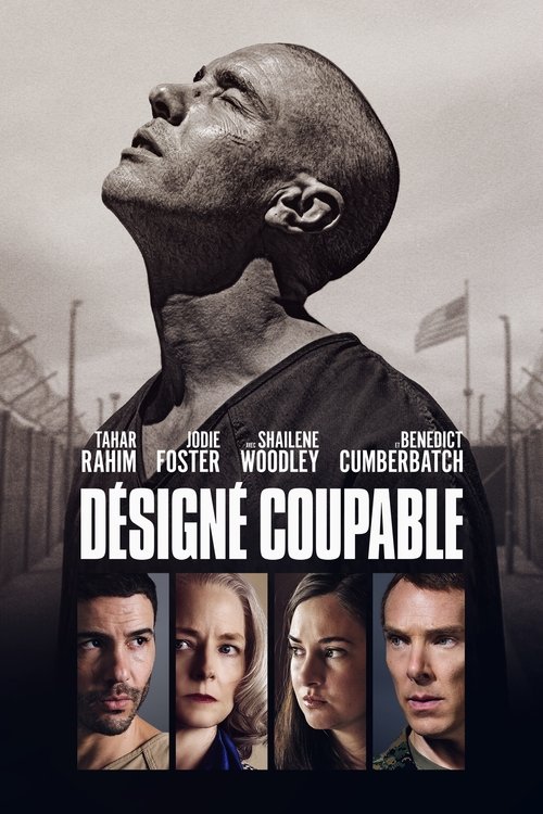 Poster image du film Désigné coupable Désigné coupable