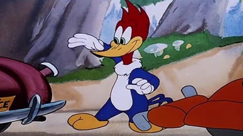 Poster della serie The Woody Woodpecker Show