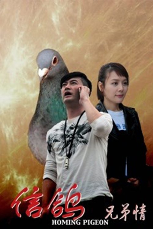 信鸽之兄弟情 (2018) poster