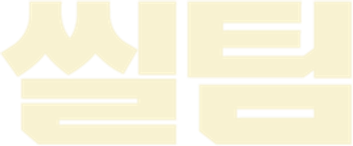 씰 팀