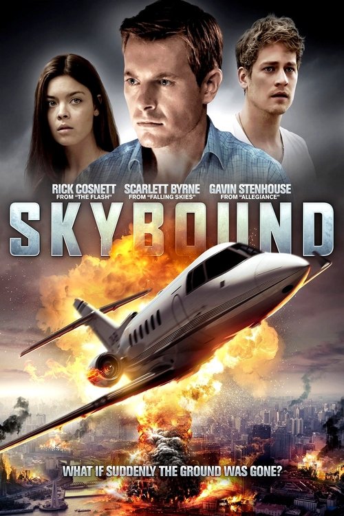 Skybound poster