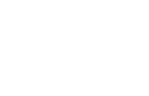 Lost in the Night
