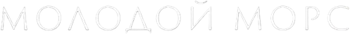 Endeavour logo