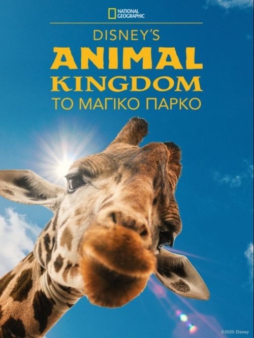 Where to stream Magic of Disney's Animal Kingdom