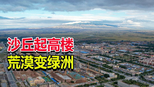 Episode 206