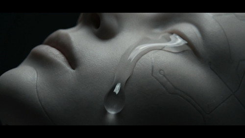 ARCHAEOLOGY OF UNBORN FACES Bild 4