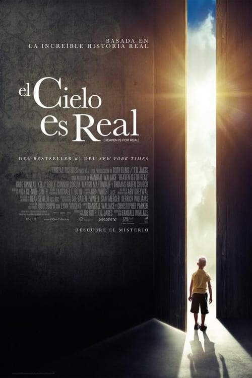 Image El cielo es real (2014)