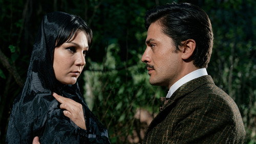 Four Women in the Harem