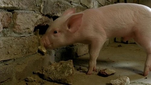 Image de l'épisode 9