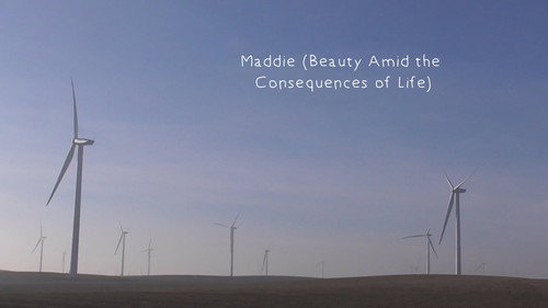 Maddie (Beauty Amid the Consequences of Life)