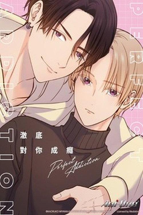 Poster for パーフェクトアディクション