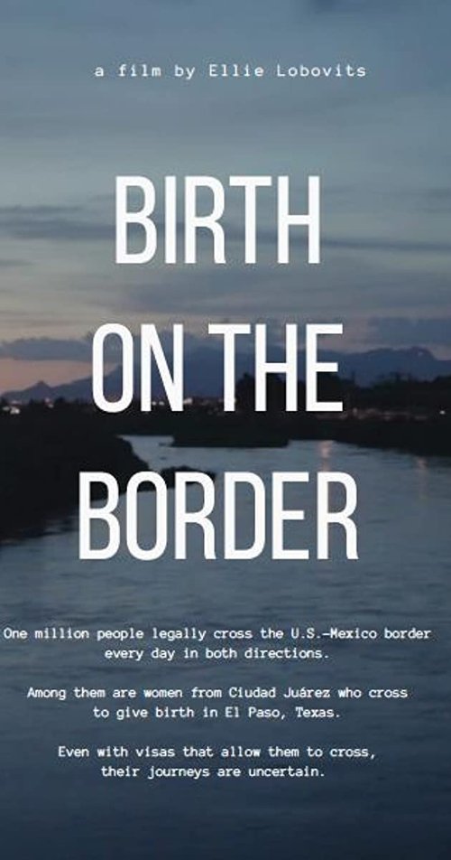 Birth on the border (2018) poster