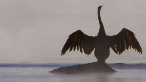 Extreme Africa - Season 1 Backdrop Blur
