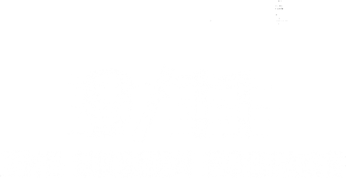 9/11: The Unseen Footage