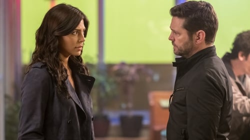 Private Eyes: 2×13