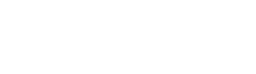 Disaster Autopsy