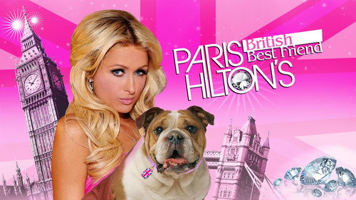 Paris Hilton's British Best Friend