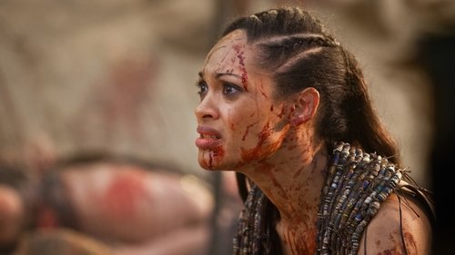 Spartacus: 3×8