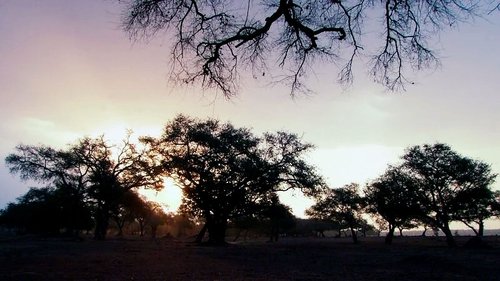 Image de l'épisode 1