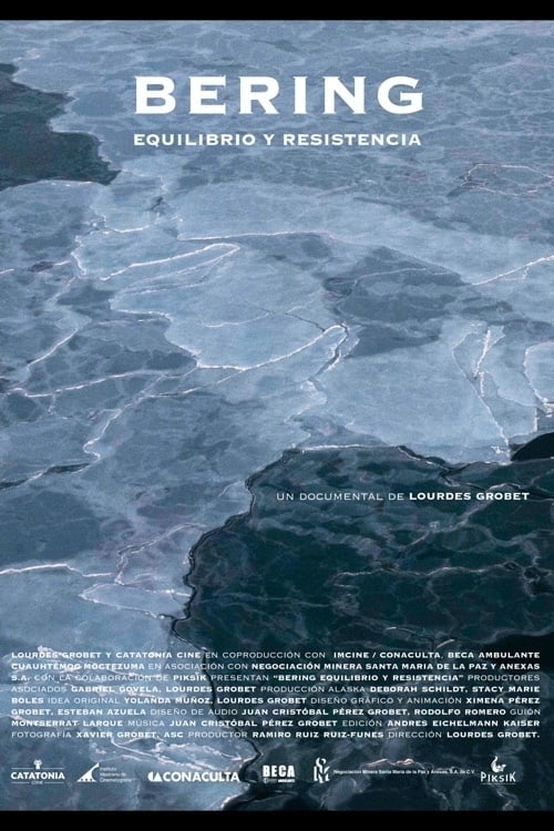 Bering. Equilibrio y resistencia (2013) poster