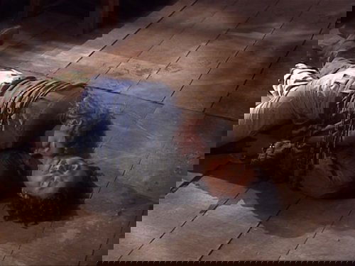 Episode 21