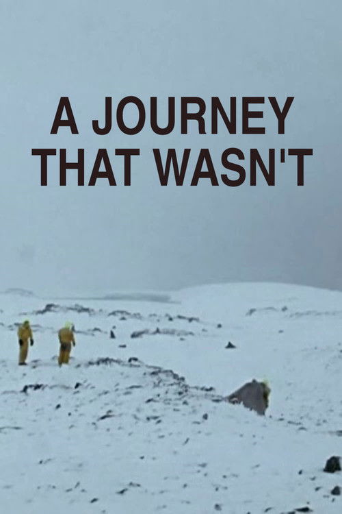Poster de A Journey That Wasn't