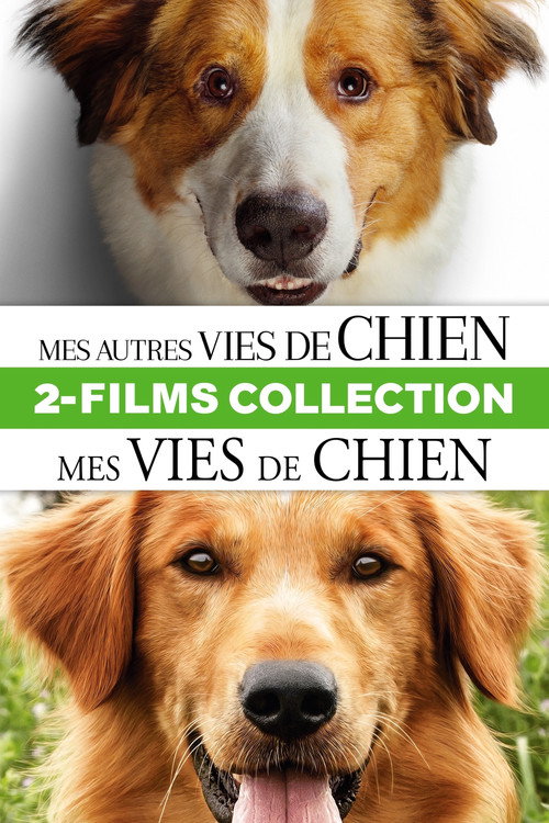 Mes Vies de Chien - Saga