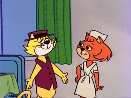 Poster della serie Top Cat