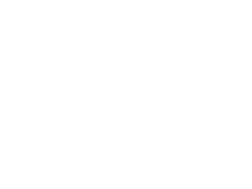 The Adventures of Sebastian Cole