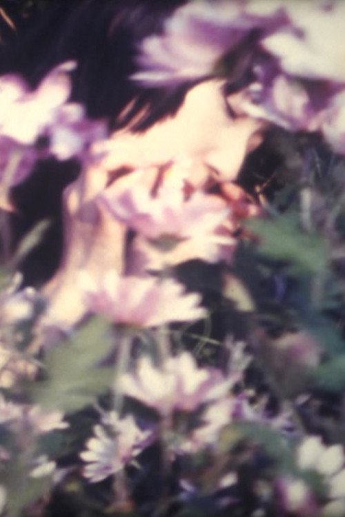 Chrysanthemum Inspiration